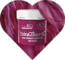 1x La Riche Directions Semi Permanent Hair Dye 100ml Tub (Pack of 1).