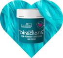 1x La Riche Directions Semi Permanent Hair Dye 100ml Tub (Pack of 1).