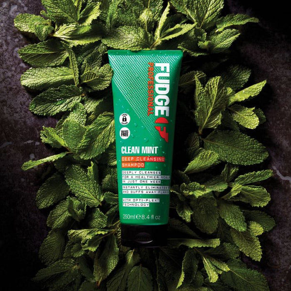 Fudge Professional Clean Mint Purifying Shampoo 250ml