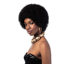 Sleek Synthetic Wigs - BIG AFRO
